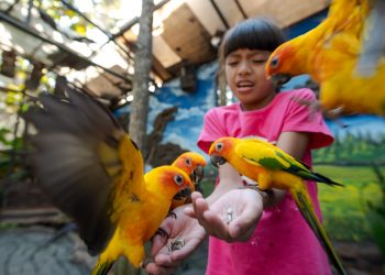 Belajar Tentang Burung Di Area World Of Parrot Eco Green Park, Siapa Mau? -